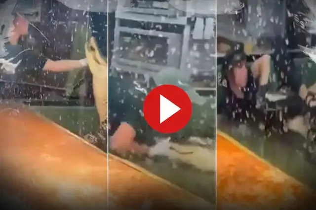 ଖୁଆଇବା ବେଳେ ଯୁବତୀଙ୍କ ହାତକୁ କାମୁଡ଼ି ନିଜ ଆଡ଼େ ଭିଡ଼ିନେଲା କୁମ୍ଭୀର, ଦେଖନ୍ତୁ ତା’ପରେ କ’ଣ ହେଲା...