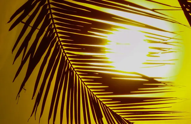 ଗ୍ରୀଷ୍ମ ପ୍ରବାହ ପାଇଁ ଏସବୁ ଜିଲ୍ଲାକୁ ସତର୍କ କରି ୟେଲୋ ୱାର୍ଣ୍ଣିଂ ଜାରି କଲା ପାଣିପାଗ ବିଭାଗ