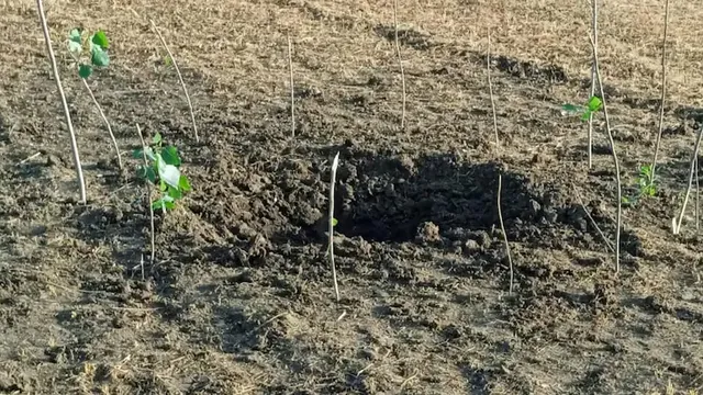 ଜମ୍ମୁରେ ପ୍ରଧାନମନ୍ତ୍ରୀ ମୋଦୀଙ୍କ ଉଦ୍‌ବୋଧନ ସ୍ଥଳଠାରୁ ୧୨ କି.ମି. ଦୂରରେ ବିସ୍ଫୋରଣ