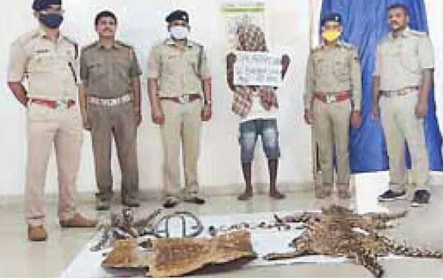 ବାଘ ଓ ହରିଣ ଛାଲ ଜବତ, ଜଣେ ଗିରଫ