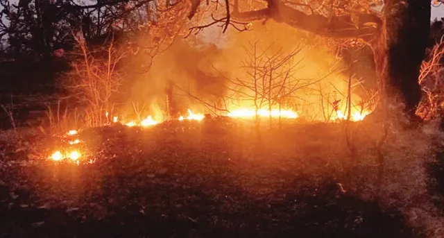 ବନାଗ୍ନିରେ ରୋକ୍‌