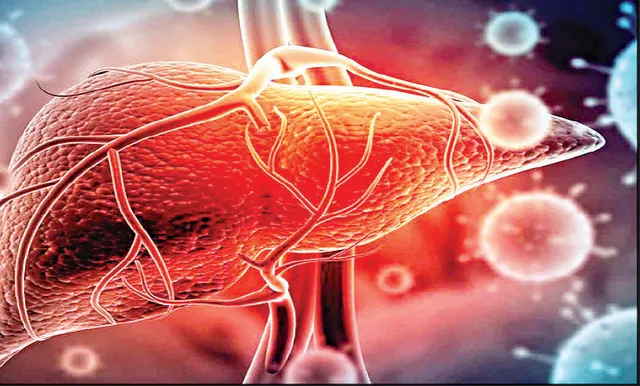 ଆମେରିକା, ୟୁରୋପରେ ଶିଶୁମାନଙ୍କୁ ରହସ୍ୟମୟ ଯକୃତ ରୋଗ