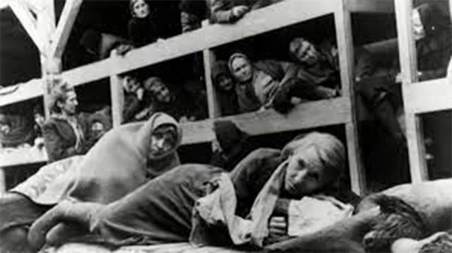 ଗର୍ଭବତୀ ତରୁଣୀକୁ ଦୁଷ୍କର୍ମ ପୂର୍ବରୁ ରୁଷ୍ ସୈନିକଙ୍କ ଧମକ: ସହଯୋଗ ନ କଲେ ୨୦ ଜଣଙ୍କୁ ଡାକି ଆଣିବି