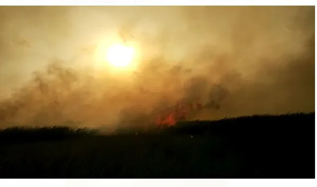 ଜଳିଗଲା ୩ କୋଟିର ଖଡ଼ିଚାଷ, କ୍ଷତି ସହିଲେ ୫୦ରୁ ଊର୍ଦ୍ଧ୍ବ ଚାଷୀ