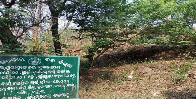 ଜଙ୍ଗଲ ସୁରକ୍ଷା ନାଁରେ ଖାଇଗଲେ ୭୦ କୋଟି!