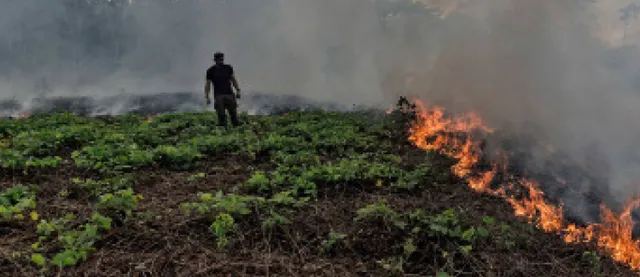 ଜୈବିକ ବିନାଶ ମଣିଷ ପାଇଁ ଚିନ୍ତାଜନକ ହୋଇପାରେ