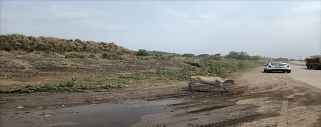 ଲିବର୍ଟି ହାଉସକୁ ଏତେ ଅନୁକମ୍ପା କାହିଁକି ?  ମାଡ଼ିବସିଛି ୫୦ ଏକର ସରକାରୀ ଜମି