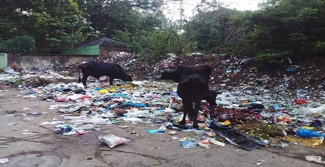 ସଫେଇ ନାଁରେ ୯ କୋଟିର ଟେଣ୍ଡର ଫିକସିଂ! ଏକ ନିର୍ଦ୍ଦିଷ୍ଟ ସଂସ୍ଥାକୁ ଆର୍‌ଏମ୍‌ସିର ଅନୁକମ୍ପା