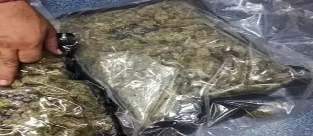 ଗଞ୍ଜେଇ ଜବତ, ୨ ଗିରଫ