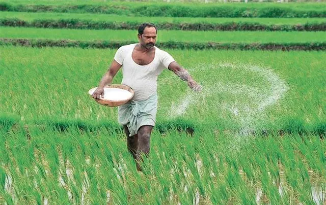 ବୀମା ଉପରେ ଭରସା ପାଉନି, ୬୩ହଜାର ଚାଷୀଙ୍କ ଭାଗ୍ୟ ଝୁଲୁଛି