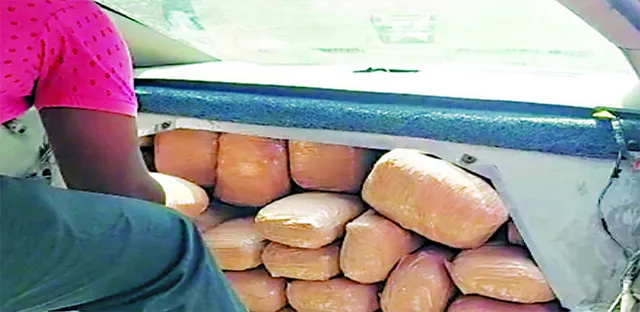 ଦେଢ଼ କୁଇଣ୍ଟାଲରୁ ଊର୍ଦ୍ଧ୍ବ ଗଞ୍ଜେଇ ଜବତ, ୨ ଅଟକ