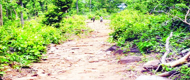 ୨୧୧ ଗାଁ’କୁ ନାହିଁ ସବୁଦିନିଆ ରାସ୍ତା