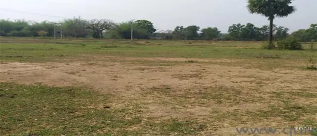 ଡାଆଣୀ ହୋଇ ଲାଗୁଛି, ଗୁଣିଆ ହୋଇ ଝାଡୁଛି ଦେବୋତ୍ତର ବିଭାଗ