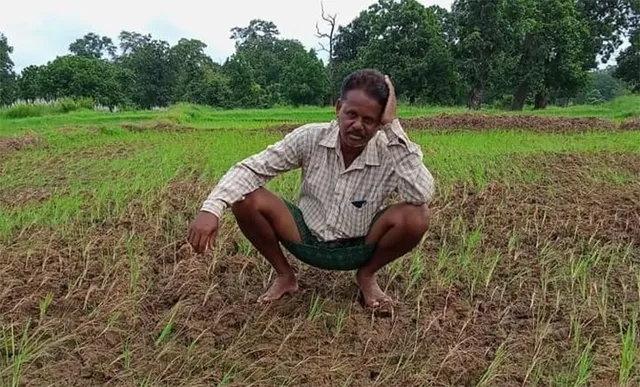 ଧୋକା ଦେଉଛି ଫସଲ ବୀମା, ଚାଷୀ ହାତରେ କିଛି ନାହିଁ, ୪୦ ହଜାର କୋଟି ଗଲା କୁଆଡ଼େ?