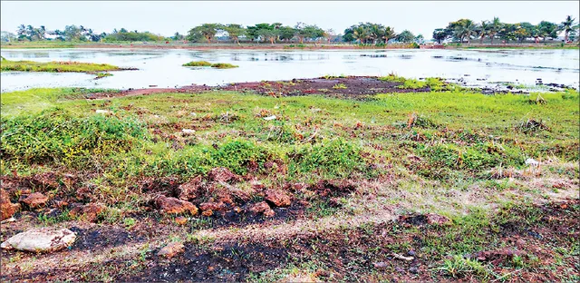 ବିଏମ୍‌ସିର ପୁଷ୍କରିଣୀ ପୁନରୁଦ୍ଧାର କାହା ସ୍ବାର୍ଥରେ? ସାର ହେଉଛି ଠିକାଦାର ପୋଷା