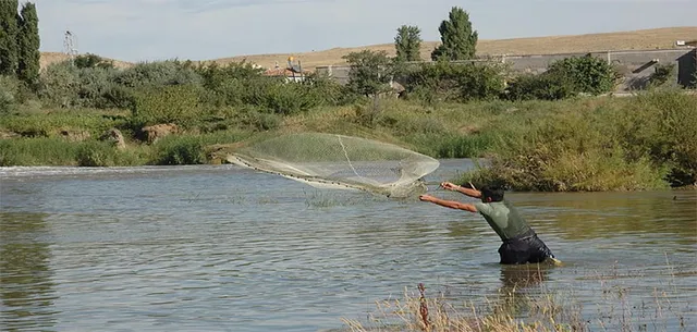 ମାଛ ଜାଲରେ ପଡ଼ିଲା ମହିଳାଙ୍କ କଙ୍କାଳ