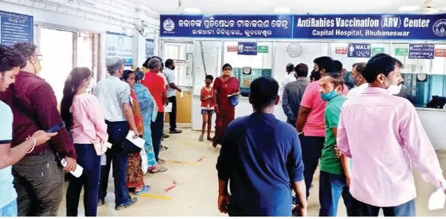 ରାଜଧାନୀରେ ବଢ଼ୁଛି କୁକୁର କାମୁଡ଼ା, ଦୈନିକ ୨ଶହରୁ ଅଧିକ ଟିକା ଫୋଡ଼ା