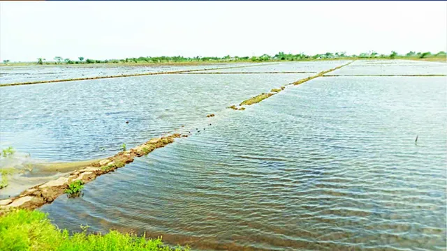 ‘ୟାସ୍‌’କୁ ବର୍ଷେ ବିତିଲା, ତଥାପି ବାବୁଙ୍କ ନିଦ ଭାଙ୍ଗିଲାନି