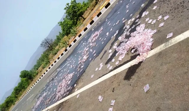 ଦେବଗଡ଼: ମଦ ଭାଟି ଭାଙ୍ଗିବା ସହ ମଦ ପାଉଚ୍‌ଗୁଡିକୁ ରାଜପଥରେ ଢାଳିଲେ ଉତ୍ତ୍ୟକ୍ତ ମହିଳା