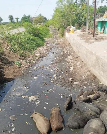 ନାଳରେ ଫିଙ୍ଗୁଛନ୍ତି ହାଟ ଅଳିଆ, ମାଡ଼ି ବସିଛନ୍ତି ବନ୍ଧ, ଜମିକୁ ମାଡ଼ୁନି ପାଣି