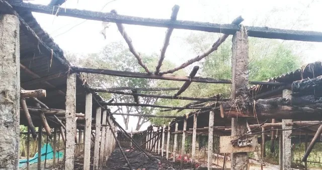 କୁକୁଡ଼ା ଫାର୍ମରେ ଅଗ୍ନିକାଣ୍ଡ: ଜଳିଗଲେ ୩ ହଜାର କୁକୁଡ଼ା