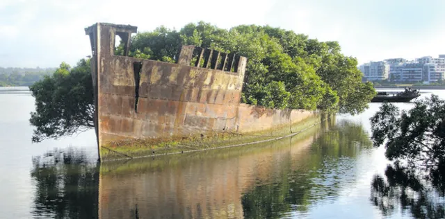 ପର୍ଯ୍ୟଟକମାନଙ୍କ ପାଇଁ ଏକ ନିଆରା ଭସା ଜଙ୍ଗଲ ପାଲଟିଛି ‘ଏସ୍‌ଏସ୍‌ ଆୟାରଫିଲ୍‌ଡ’ ନାମକ ୧୦୨ ବର୍ଷର ଜାହାଜ