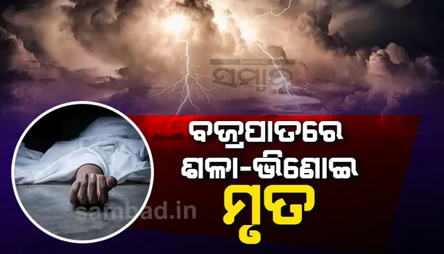 ବଗିଚାକୁ କାଜୁ ସଂଗ୍ରହ ପାଇଁ ଯାଇଥିବା ବେଳେ ବଜ୍ରପାତ, ଶଳା-ଭିଣୋଇ ମୃତ