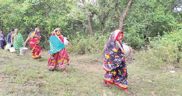 ପାଣି ଟୋପେ ପାଇଁ ବାଜିରେ ମହିଳାଙ୍କ ଜୀବନ: ବିପଦସଙ୍କୁଳ ଜଙ୍ଗଲ ରାସ୍ତାରେ ଦିନକୁ ଦୁଇ କିଲୋମିଟର ଯାତ୍ରା
