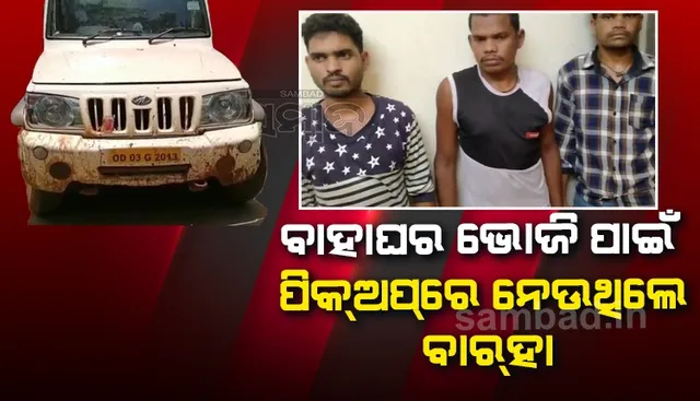 ବାହାଘର ଭୋଜିପାଇଁ ନେଉଥିବା ବାର୍‌ହା ଓ ପିକ୍‌ଅପ୍‌ ଜବତ, ୩ ଯୁବକ ଗିରଫ