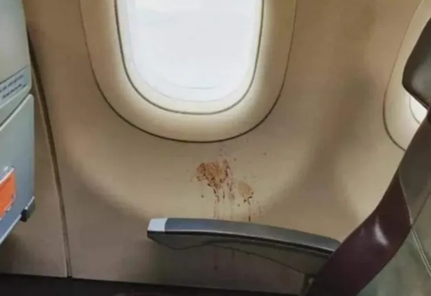 ବିମାନ ଭିତରେ ଗୁଟକା ଛେପ! ଆଇଏଏସ ଅଧିକାରୀ ଫଟୋ ସେୟାର କରି ଲେଖିଲେ ‘କେହି ଜଣେ ତାଙ୍କ ପରିଚୟ ଛାଡ଼ି ଯାଇଛନ୍ତି!’...