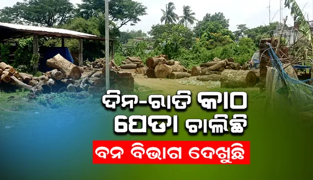 ବନ ବିଭାଗ କାର୍ଯ୍ୟାଳୟ ପଛପଟେ ଚାଲିଛି ଚୋରା କରତ କଳ