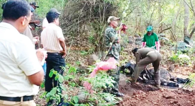 ଜଙ୍ଗଲରୁ ଦନ୍ତା ହାତୀର ଗଳିତ ମୃତଦେହ ଉଦ୍ଧାର