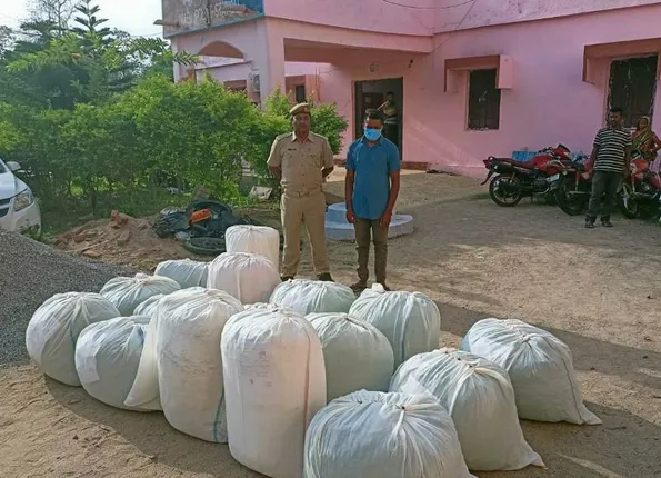 ୪୮୧ କିଲୋ ଗଞ୍ଜେଇ ଜବତ, ଜଣେ ଗିରଫ