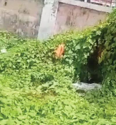 ଶୈଳବାଳା ଖେଳପଡ଼ିଆରେ ପତାକା ପୋତିଲା ପ୍ରଶାସନ, ରବିବାର ଦିନ ମାପଚୁପକୁ ନେଇ ଉଠିଲା ପ୍ରଶ୍ନ