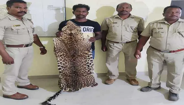 ବାଘ ଛାଲର ହେବ ଡିଏନ୍‌ଏ ଟେଷ୍ଟ