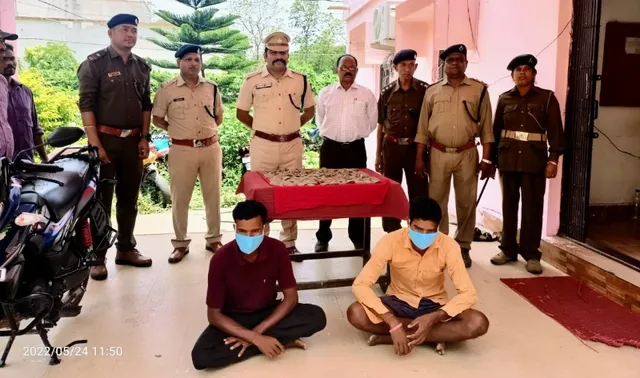 ବଜ୍ରକାପ୍ତା କାତି ଉଦ୍ଧାର, ୨ ଗିରଫ