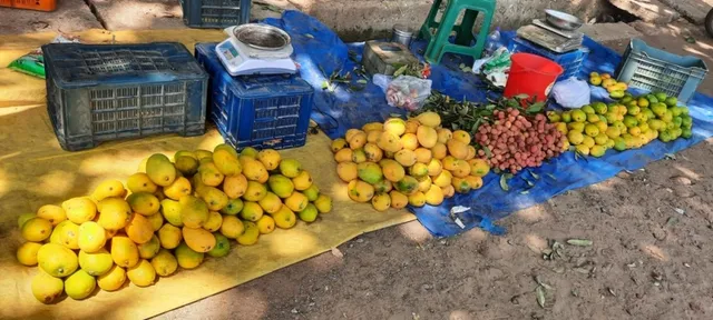 ବଜାରରେ ଆନ୍ଧ୍ର ଆମ୍ବର ରାଜୁତି, ପୂର୍ବଭଳି ମିଳିବ ନାହିଁ ସ୍ଥାନୀୟ ଦଶହରି ଏବଂ ଆମ୍ରପଲ୍ଲୀ