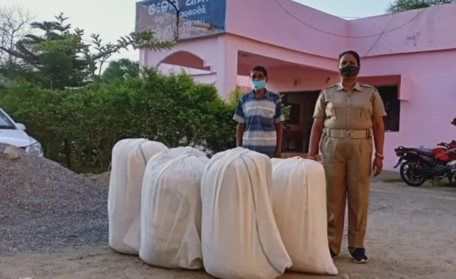 ବିଭିନ୍ନ ଥାନା ପକ୍ଷରୁ ଚଢଉ, ୪୦୧ କିଲୋ ଗ‌ଞ୍ଜେଇ ଜବତ, ୩ ଗିରଫ