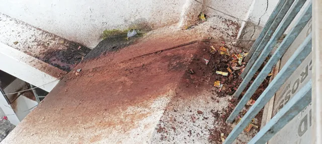 ତମାଖୁ ସେବନ ଅପରାଧ ସୂଚନାକୁ ମାନୁଛି କିଏ ? ଜିଲ୍ଲାପାଳଙ୍କ ଅଫିସ୍‌ ପରିସରରେ ଅଳିଆ ଗଦା, ପାନଛେପ