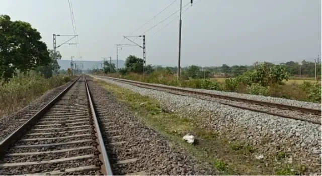 ଟ୍ରେନ ଧକ୍କାରେ ଚାଲିଗଲା ବୃଦ୍ଧ ଭାଲୁର ଜୀବନ