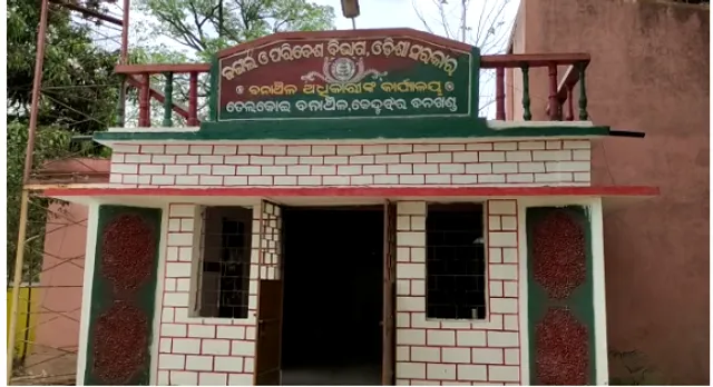 ହାତୀ ଆକ୍ରମଣରେ ମହିଳା ମୃତ