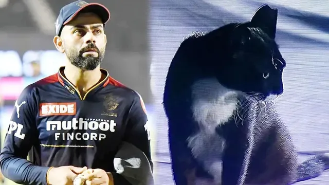 ମ୍ୟାଚ୍‌ ଭିତରେ ଦିଶିଲା କଳା ବିରାଡ଼ି, ଟ୍ରୋଲ୍‌ ହେଲେ ବିରାଟ କୋହଲି