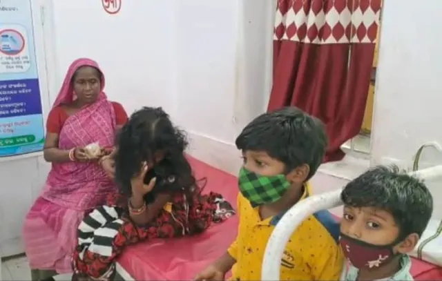 ମହୁମାଛି ଆକ୍ରମଣରେ ୧୦ ଆହତ