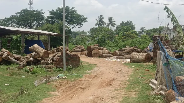 ବନ ବିଭାଗ କାର୍ଯ୍ୟାଳୟ ପଛପଟେ ଚାଲିଛି ବେଆଇନ ସମିଲ