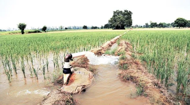 ବାଟବଣା ହେଉଛି ବିକାଶ: ପୁଞ୍ଜି ଓ ରାଜସ୍ବ ଖର୍ଚ୍ଚରେ ତାଳମେଳ ନାହିଁ