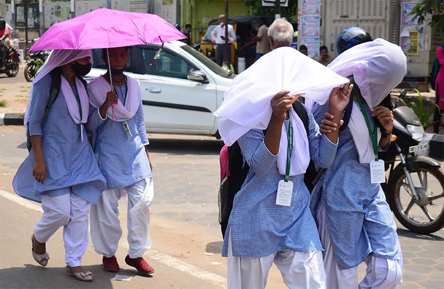 ସମ୍ଭାଳି ହେଉନି ଗୁଳୁଗୁଳି, ବଳେଇପଡ଼ୁଛି ବିଜୁଳି ଦୁଃଖ