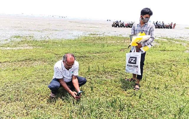 ଘାସରେ ଆଚ୍ଛାଦିତ ଚାନ୍ଦିପୁର ବେଳାଭୂମିର ମାଟି, ଘାସ ପରୀକ୍ଷା ପାଇଁ ପଠାଗଲା