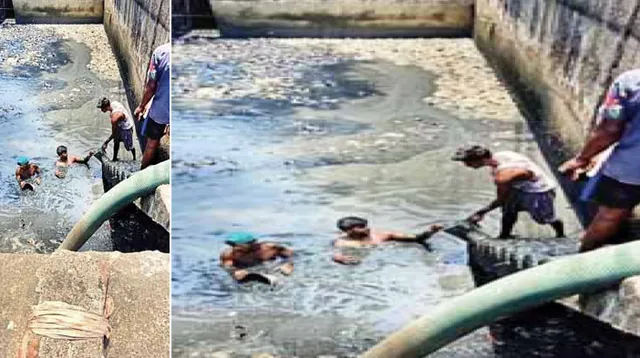 ବାଜିରେ ଶ୍ରମିକଙ୍କ ଜୀବନ: ଫୁଙ୍ଗୁଳା ଦେହରେ ପଙ୍କ ଭିତରେ ପଶି କରୁଛନ୍ତି କାମ