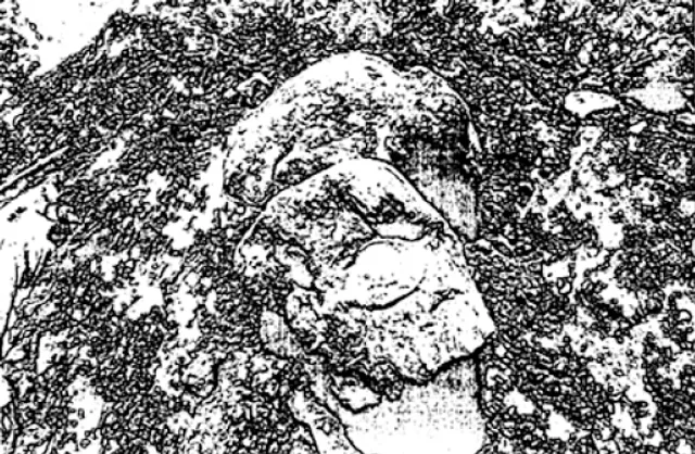 ହାଇକୋର୍ଟଙ୍କୁ ଜଣାଇଲା ଏଏସ୍‌ଆଇ: ଏମାର ମଠରୁ ମିଳିଥିଲା ପ୍ରାଚୀନ କୀର୍ତ୍ତିରାଜି