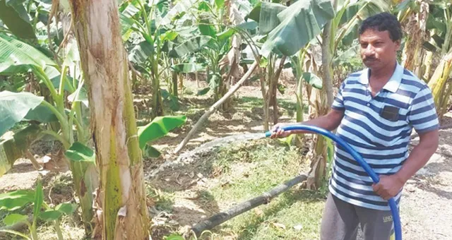 ପେସାରେ ଶିକ୍ଷକ, ନିଶାରେ ଚାଷୀ